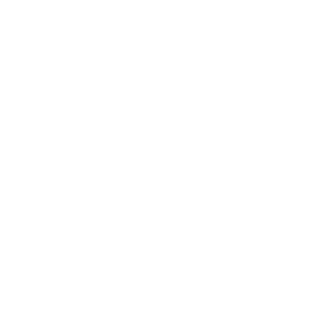 Visa Negativo